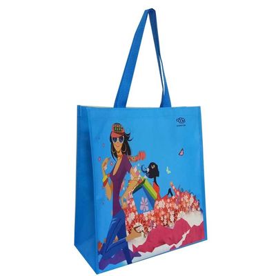 30~50cm 재활용 Pp 직물 쇼핑 가방 사용자 지정 재사용 식료품 가방